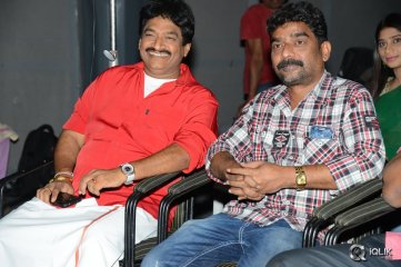 Anushtanam Movie Audio Launch